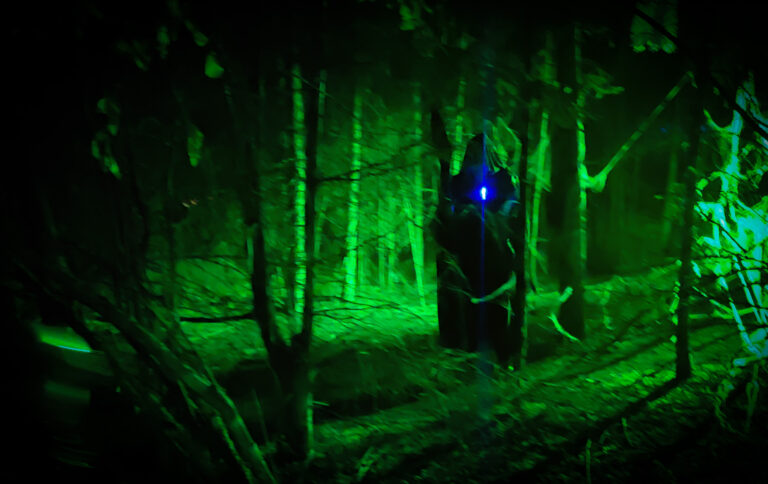 The Forests of Lindon